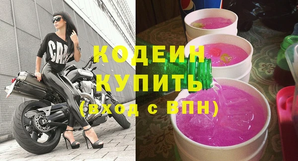 твердый Вяземский