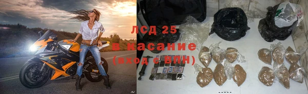 PSILOCYBIN Вязьма