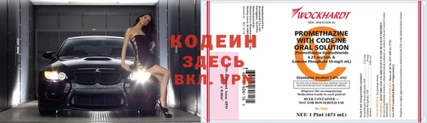 шишки Горнозаводск