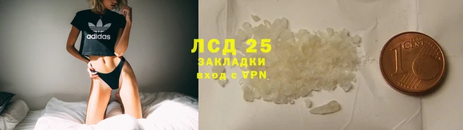 твердый Вяземский