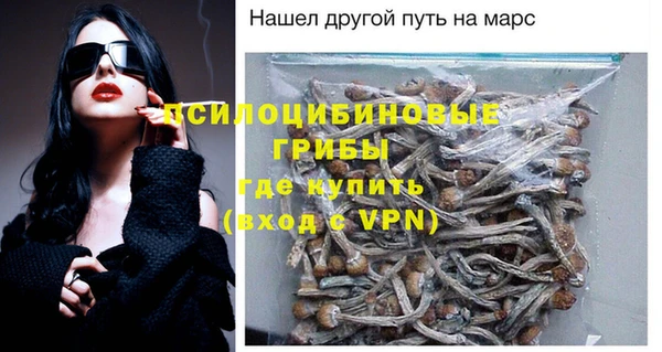прущая мука Горняк