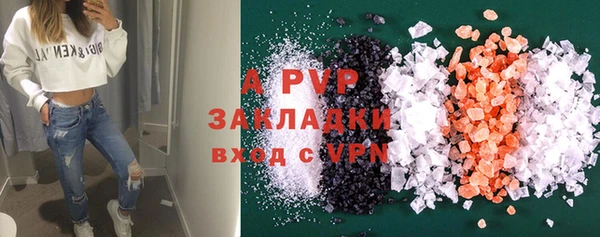PSILOCYBIN Вязьма